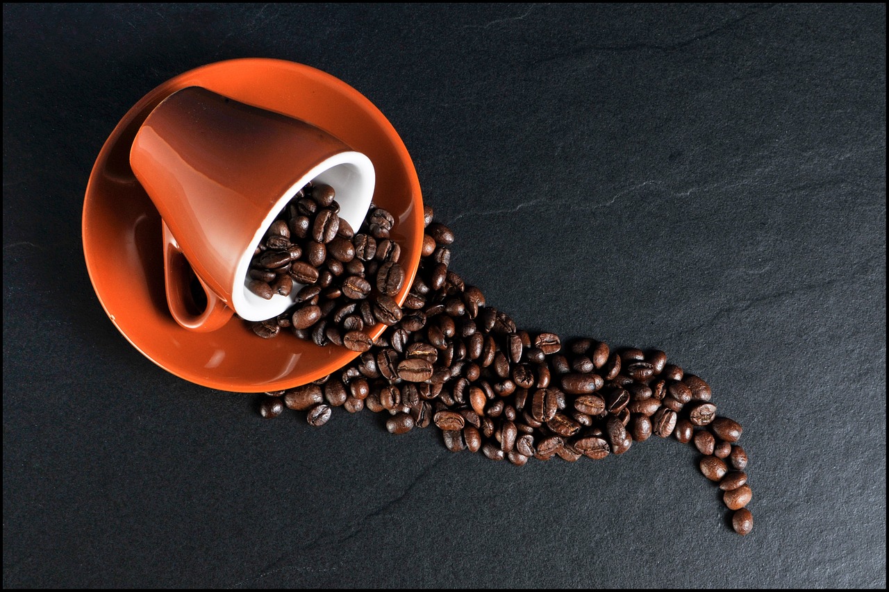 Indian best grown Arabica beans coffee